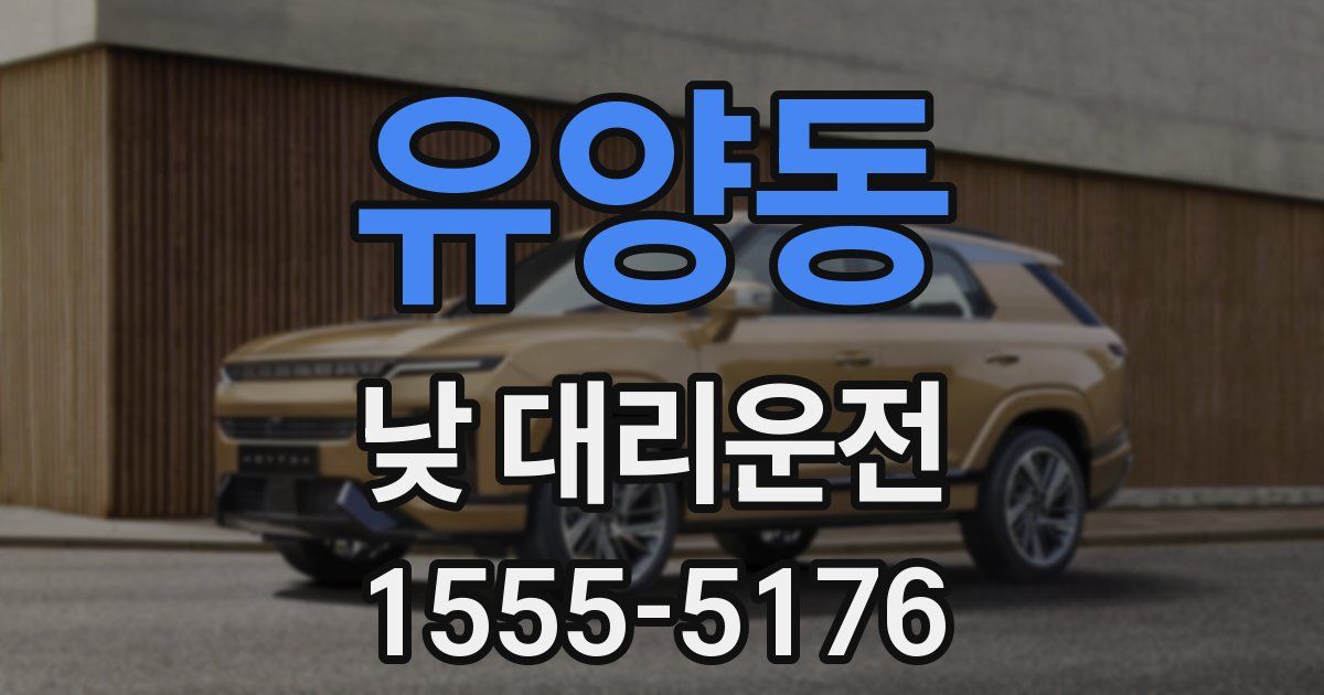 유양동 낮 대리운전