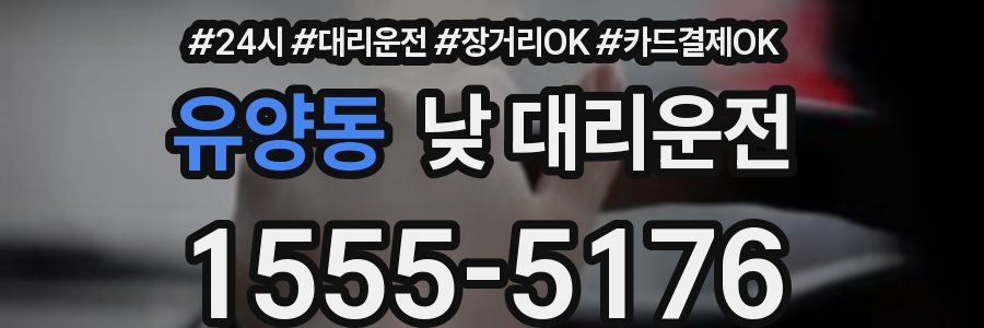 유양동 낮 대리운전