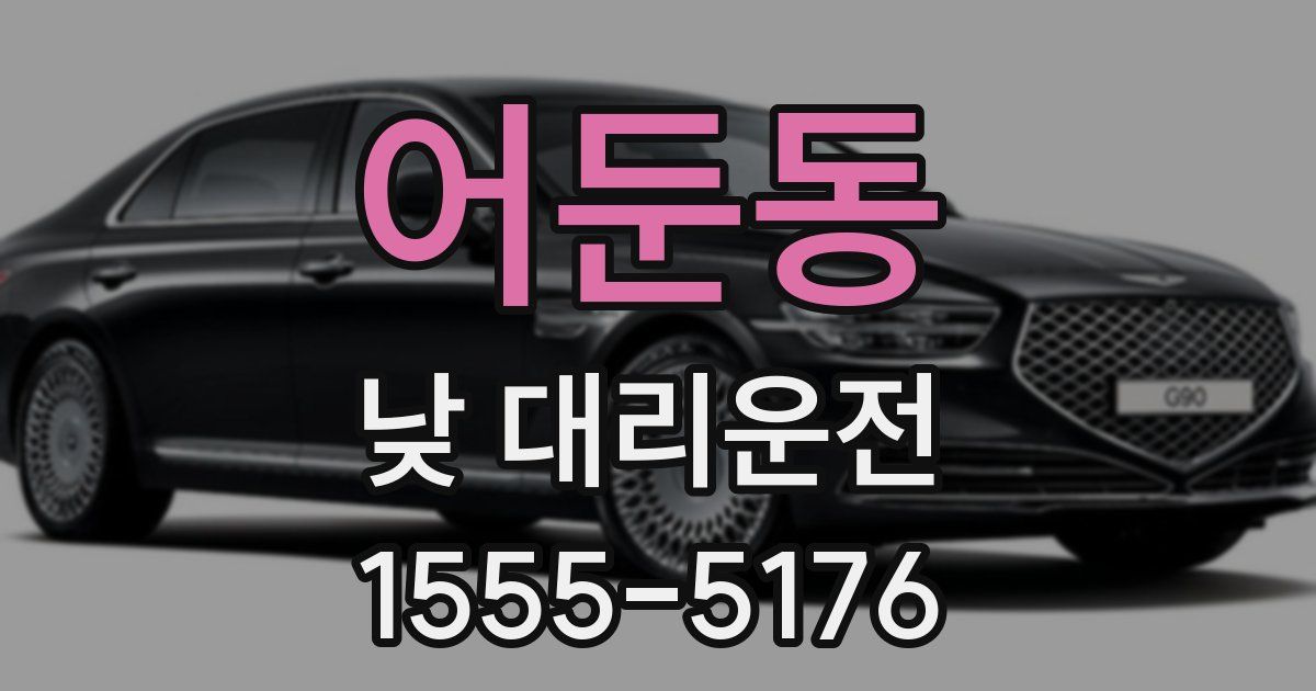 어둔동 낮 대리운전
