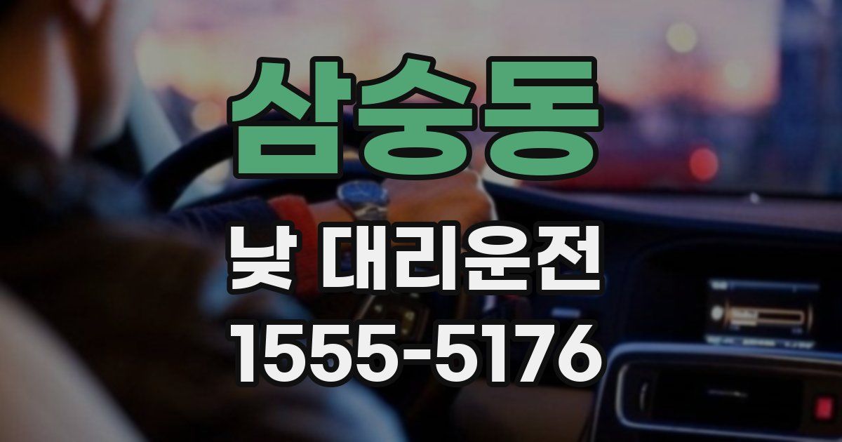 삼숭동 낮 대리운전
