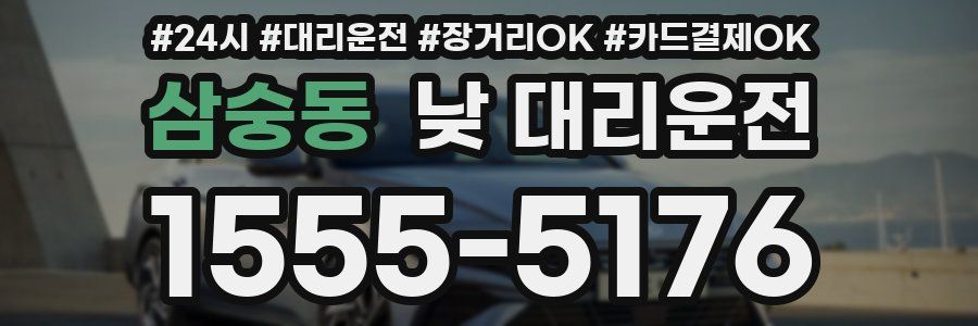 삼숭동 낮 대리운전