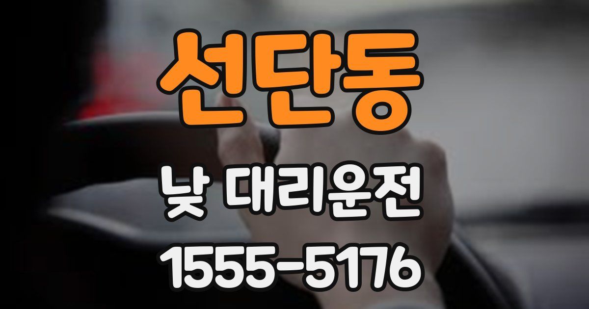 선단동 낮 대리운전