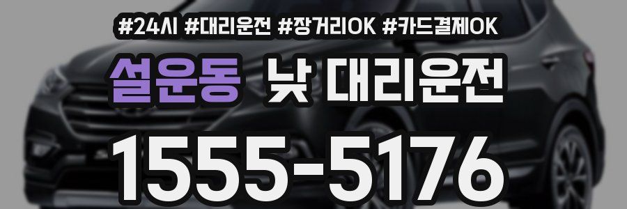 설운동 낮 대리운전