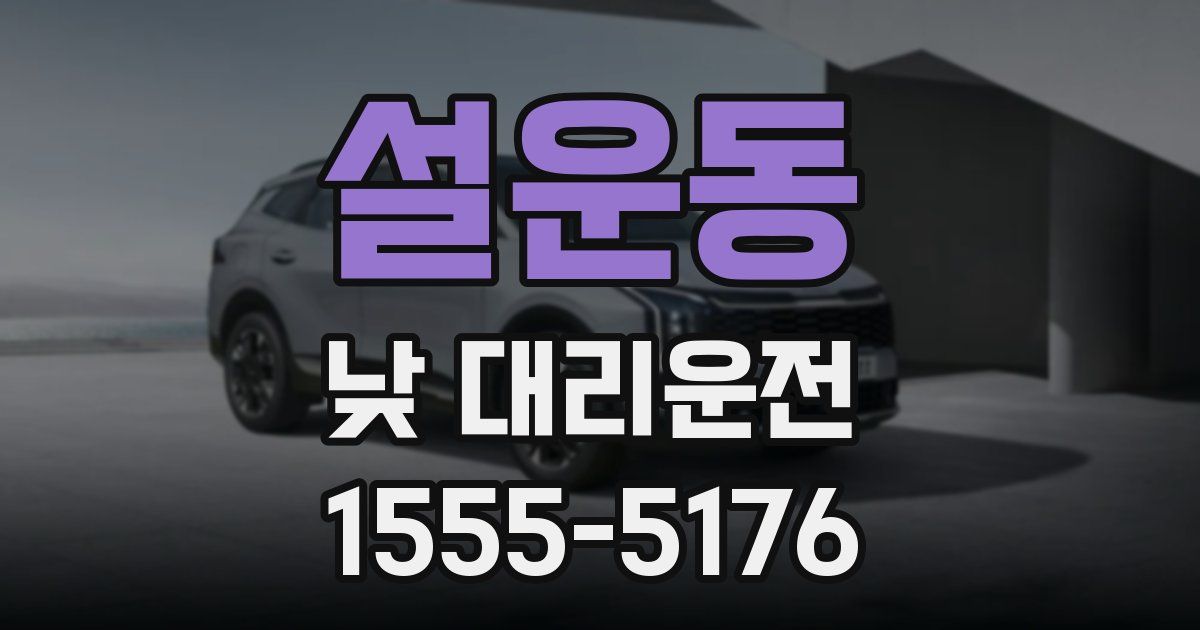설운동 낮 대리운전
