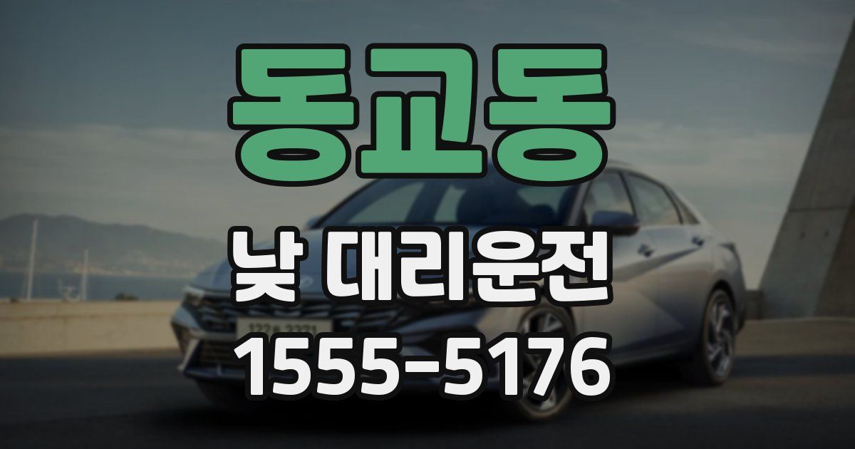 동교동 낮 대리운전