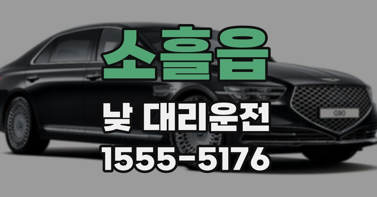 소흘읍 낮 대리운전