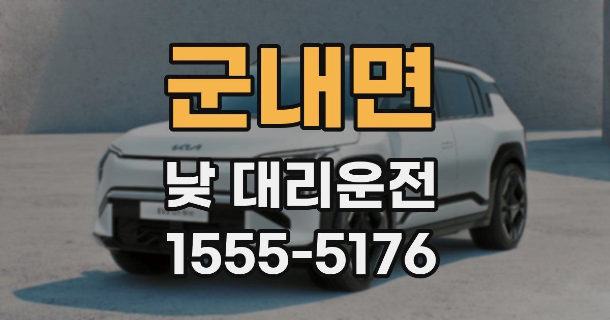 군내면 낮 대리운전