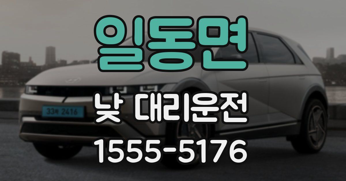 일동면 낮 대리운전