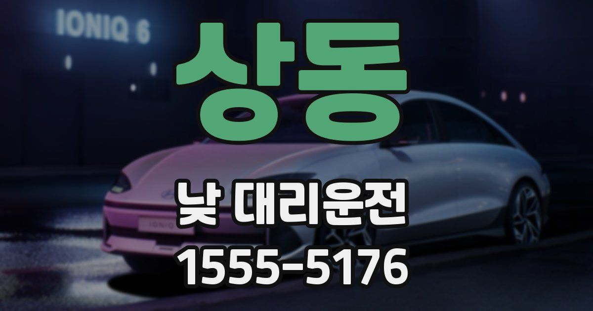 상동 낮 대리운전