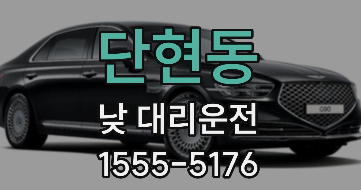 단현동 낮 대리운전