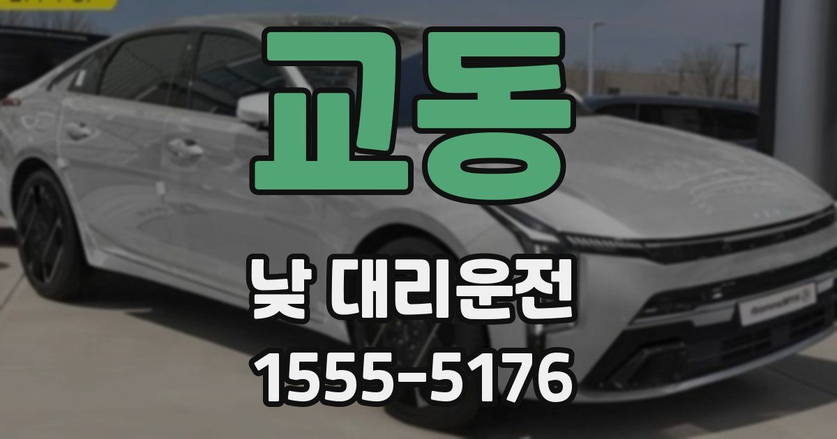 교동 낮 대리운전