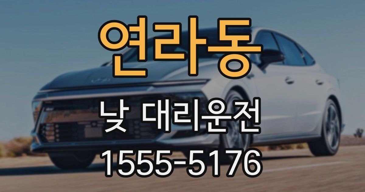 연라동 낮 대리운전