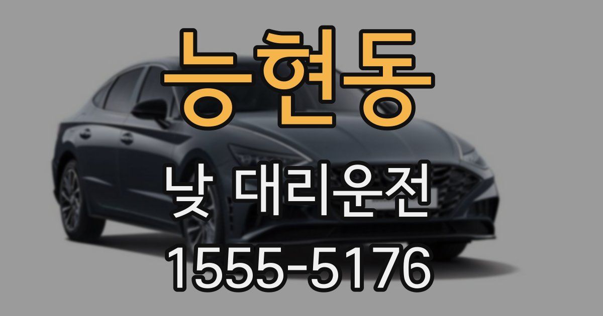 능현동 낮 대리운전