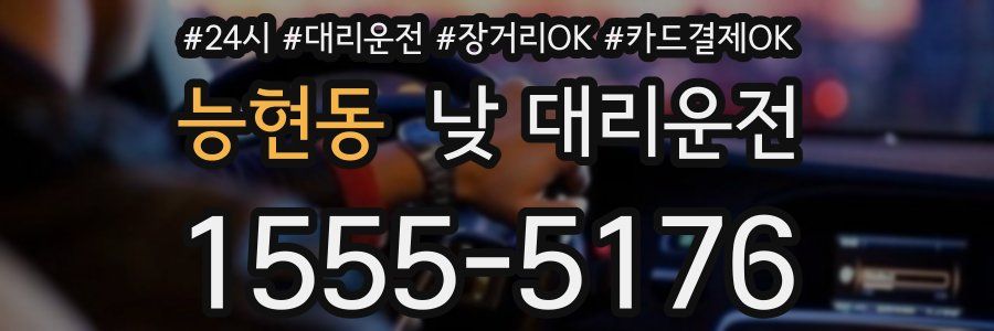 능현동 낮 대리운전