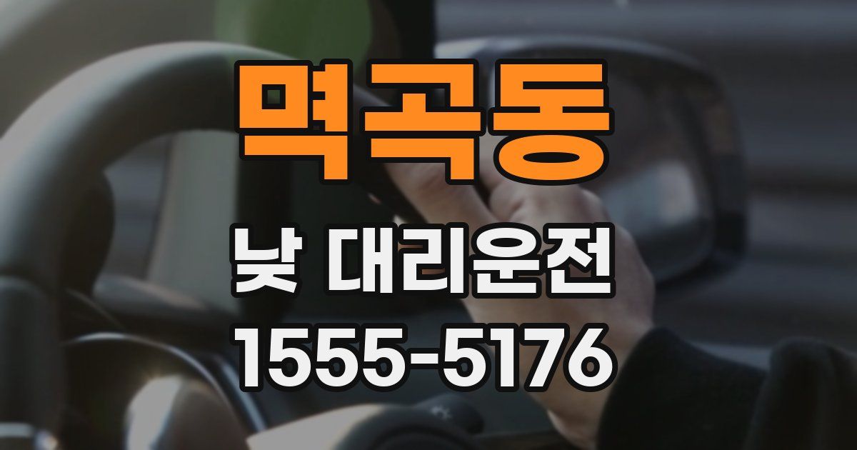 멱곡동 낮 대리운전
