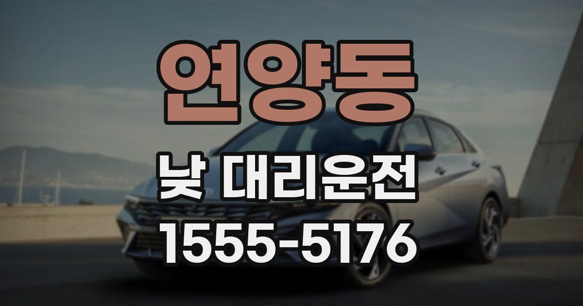 연양동 낮 대리운전