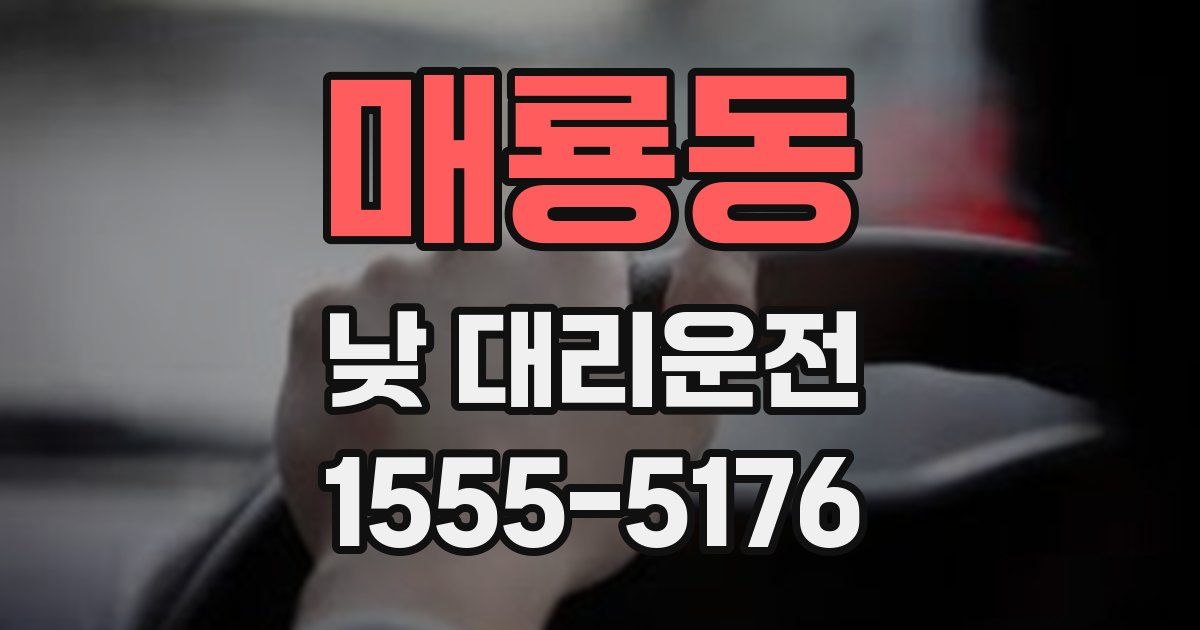 매룡동 낮 대리운전