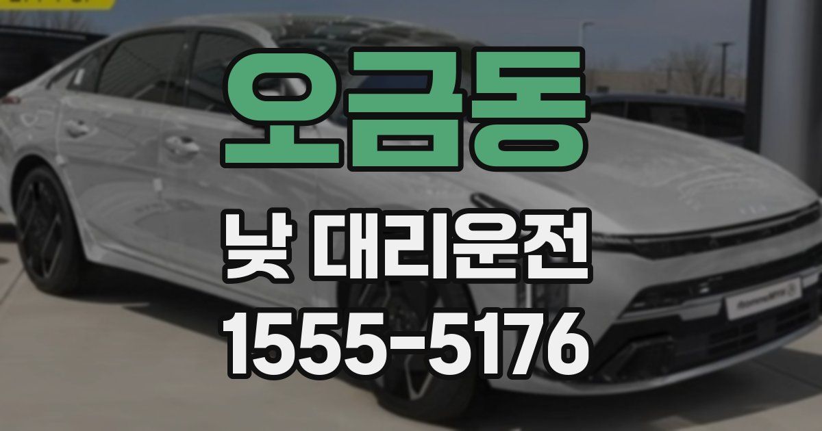 오금동 낮 대리운전