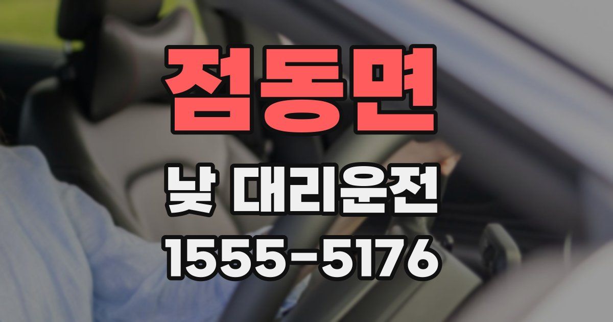 점동면 낮 대리운전
