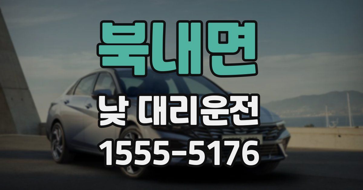 북내면 낮 대리운전
