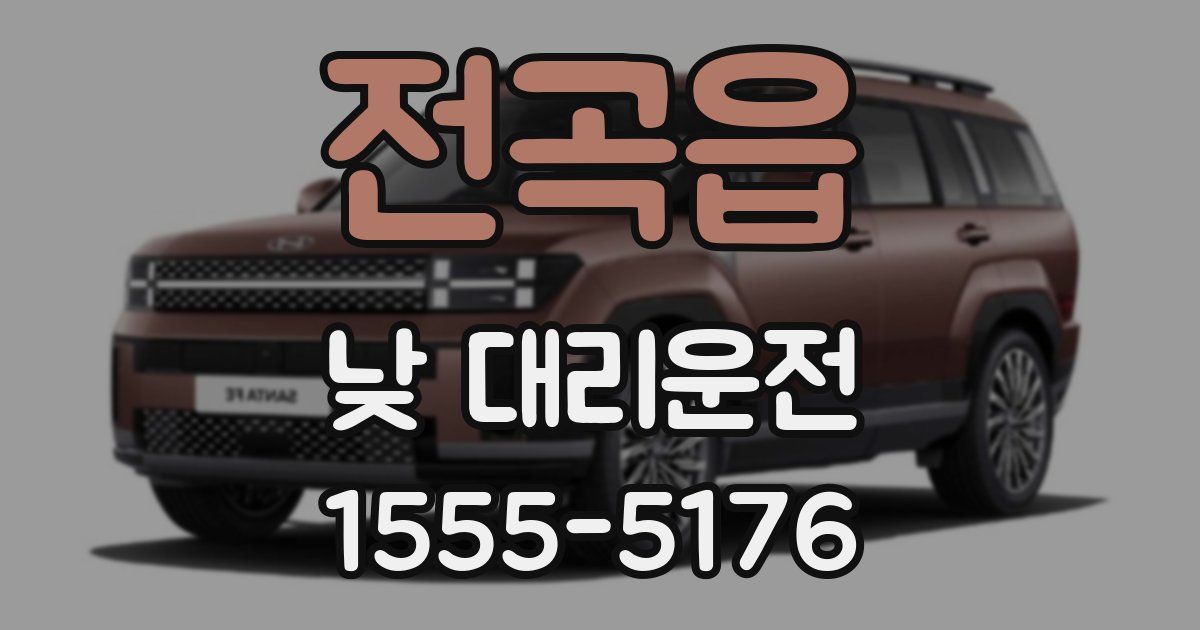 전곡읍 낮 대리운전