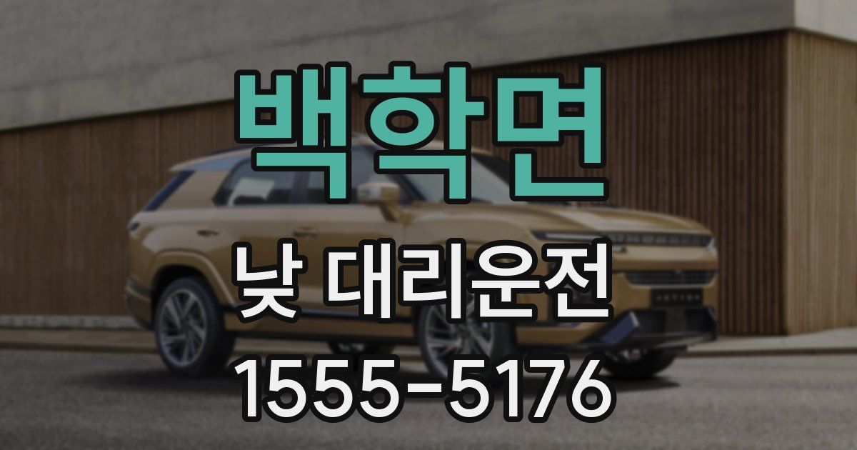 백학면 낮 대리운전