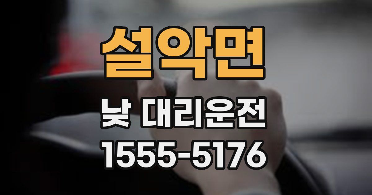 설악면 낮 대리운전