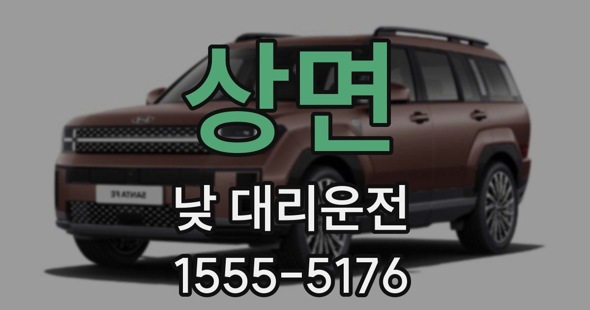 상면 낮 대리운전
