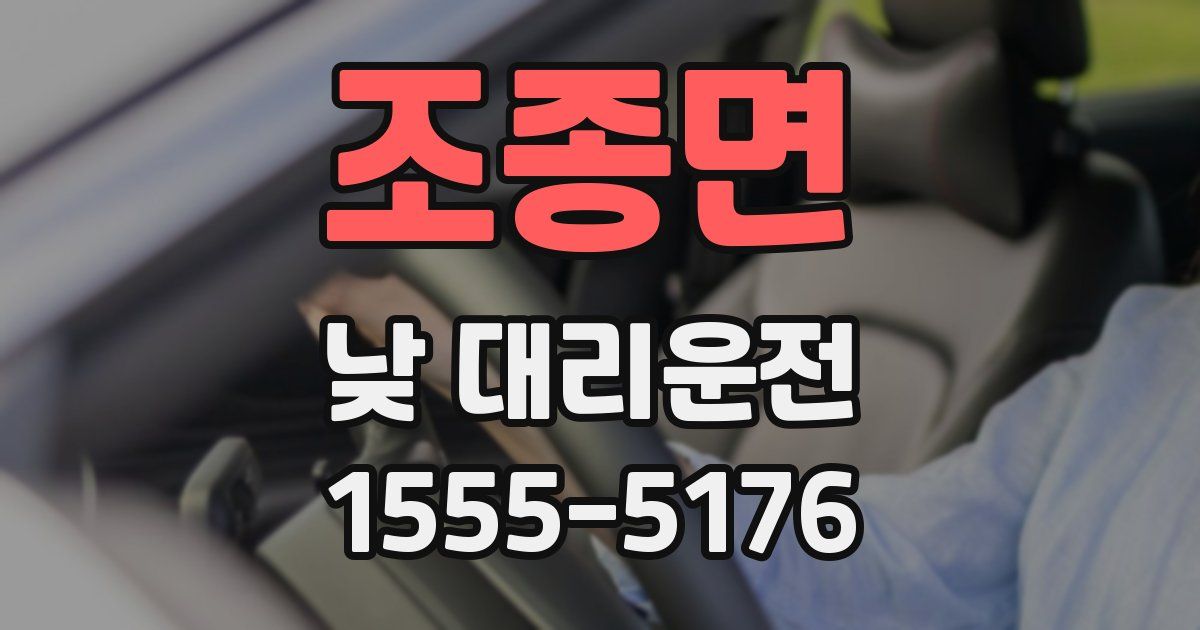 조종면 낮 대리운전