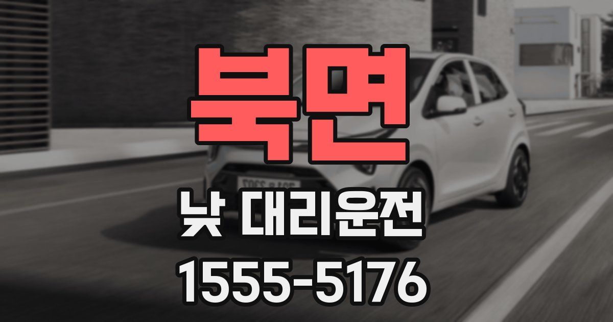 북면 낮 대리운전