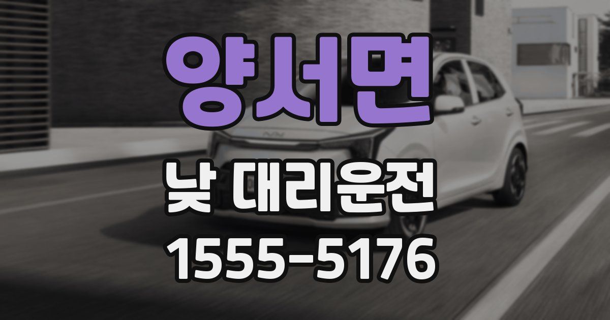 양서면 낮 대리운전