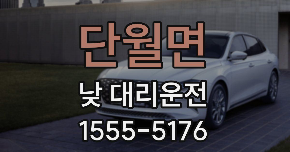 단월면 낮 대리운전