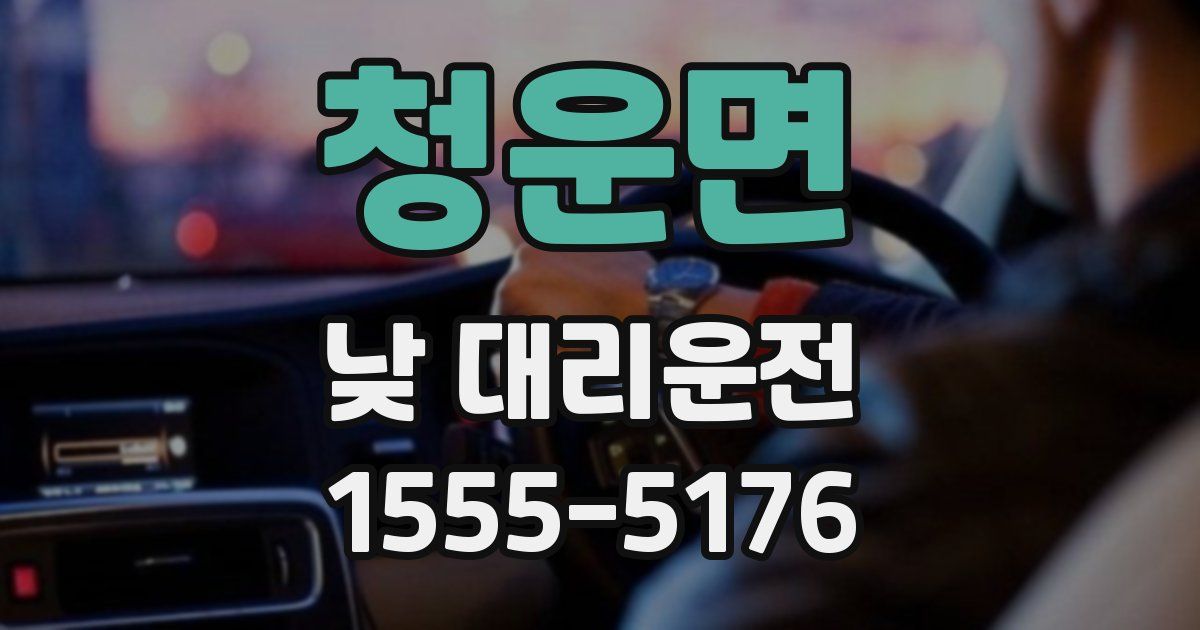 청운면 낮 대리운전