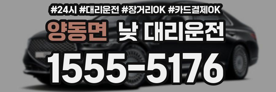 양동면 낮 대리운전