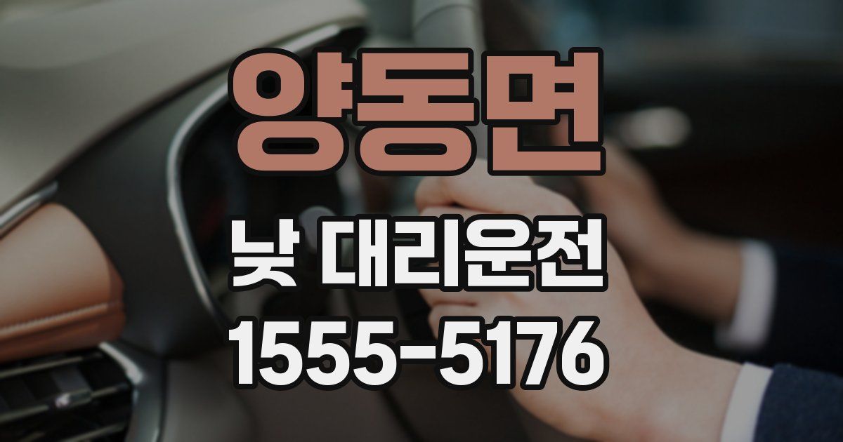 양동면 낮 대리운전