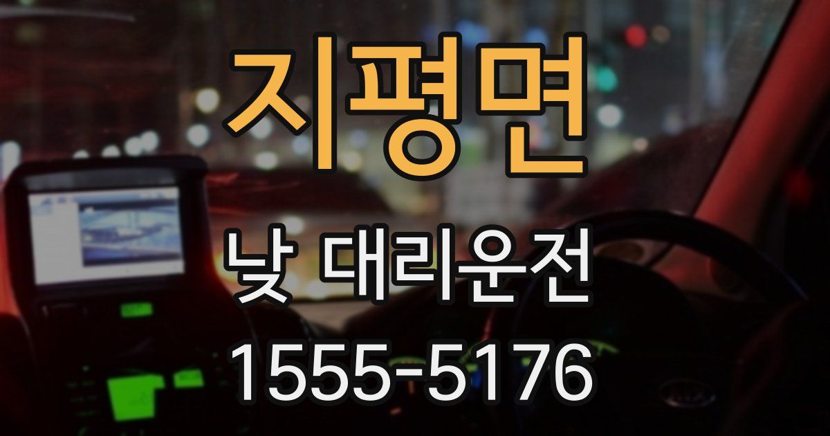 지평면 낮 대리운전