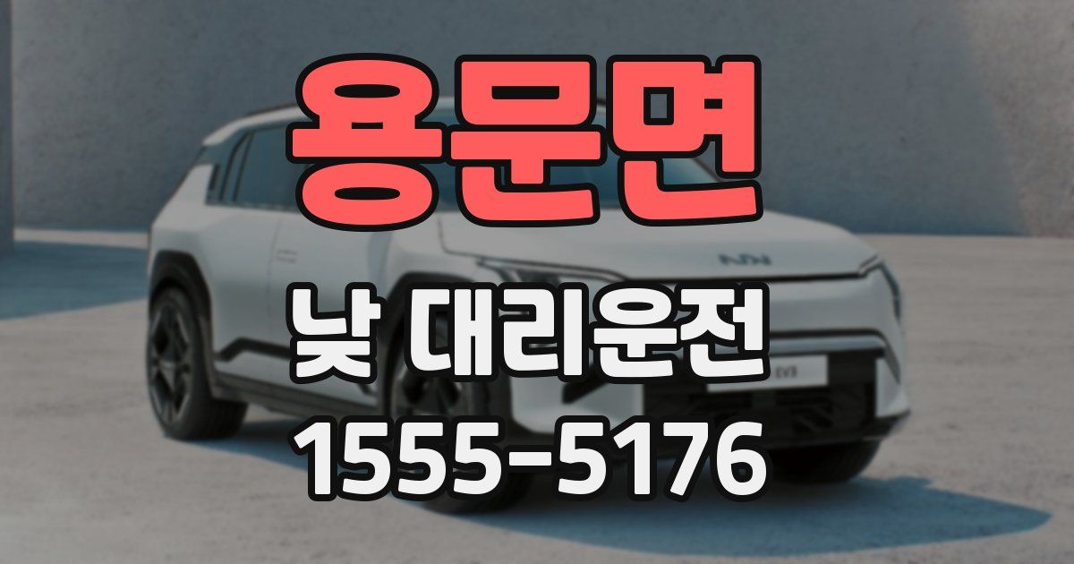 용문면 낮 대리운전