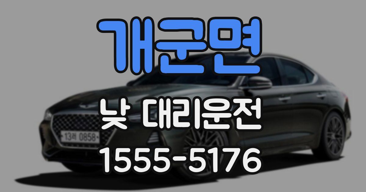개군면 낮 대리운전
