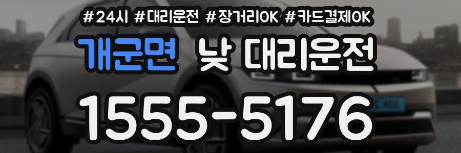 개군면 낮 대리운전