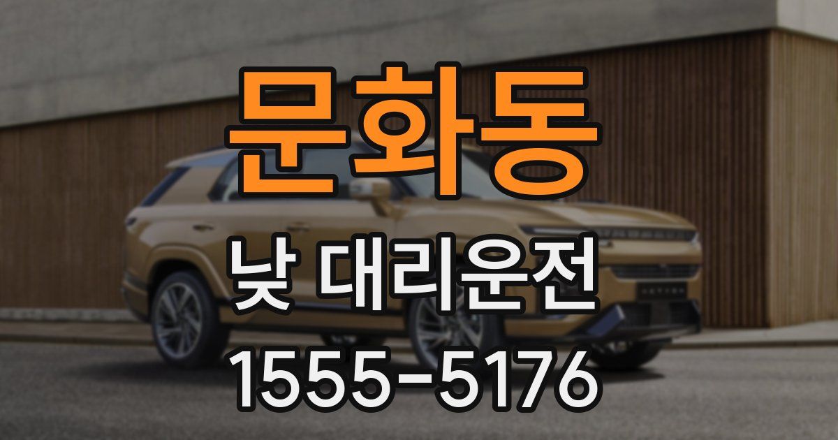 문화동 낮 대리운전