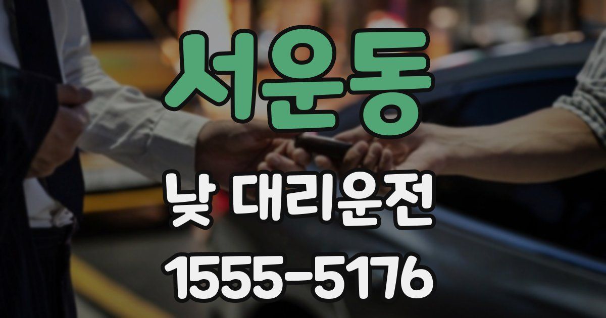 서운동 낮 대리운전