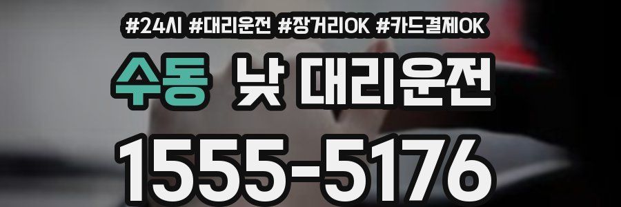 수동 낮 대리운전