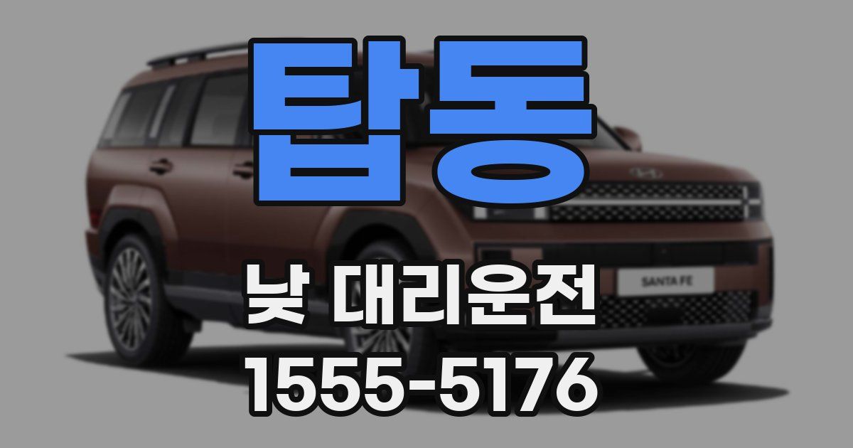 탑동 낮 대리운전
