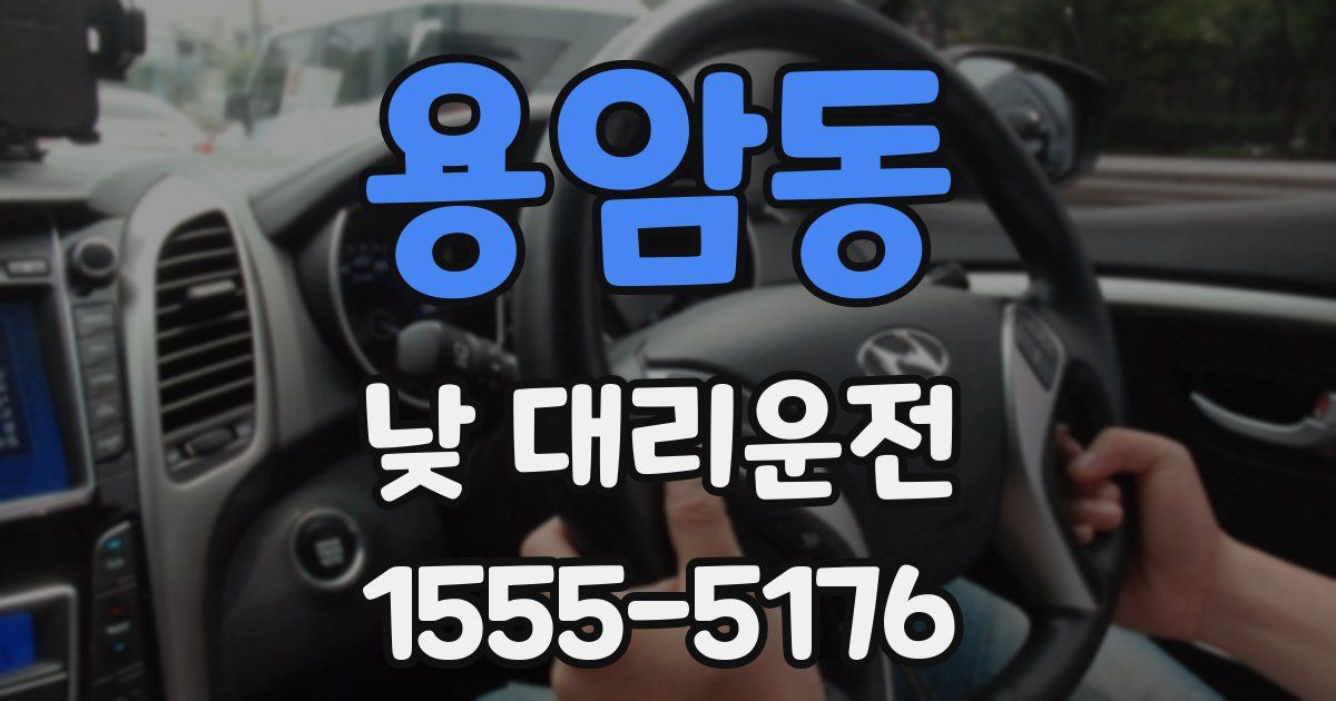 용암동 낮 대리운전