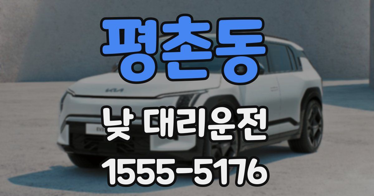 평촌동 낮 대리운전