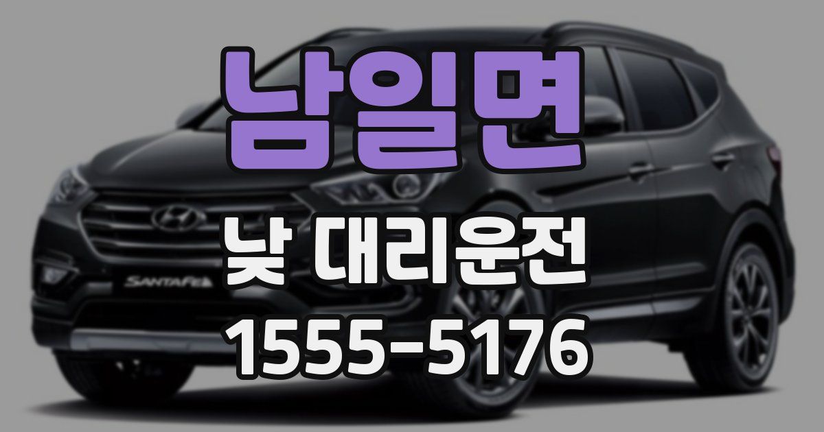 남일면 낮 대리운전