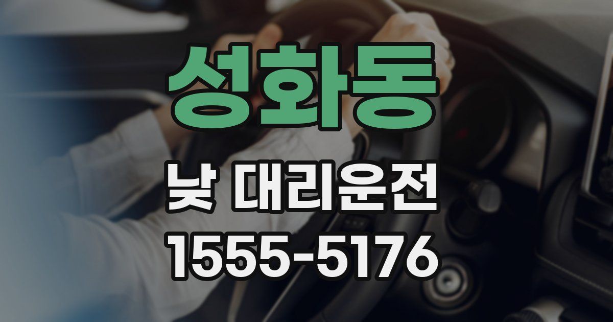 성화동 낮 대리운전