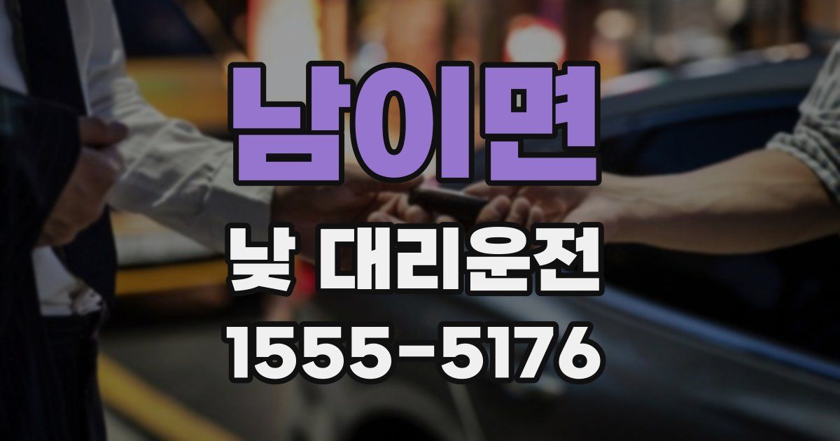 남이면 낮 대리운전