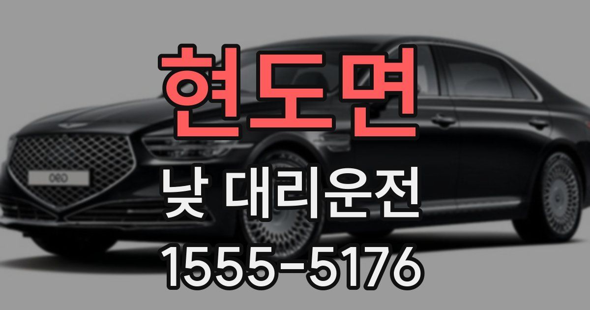 현도면 낮 대리운전