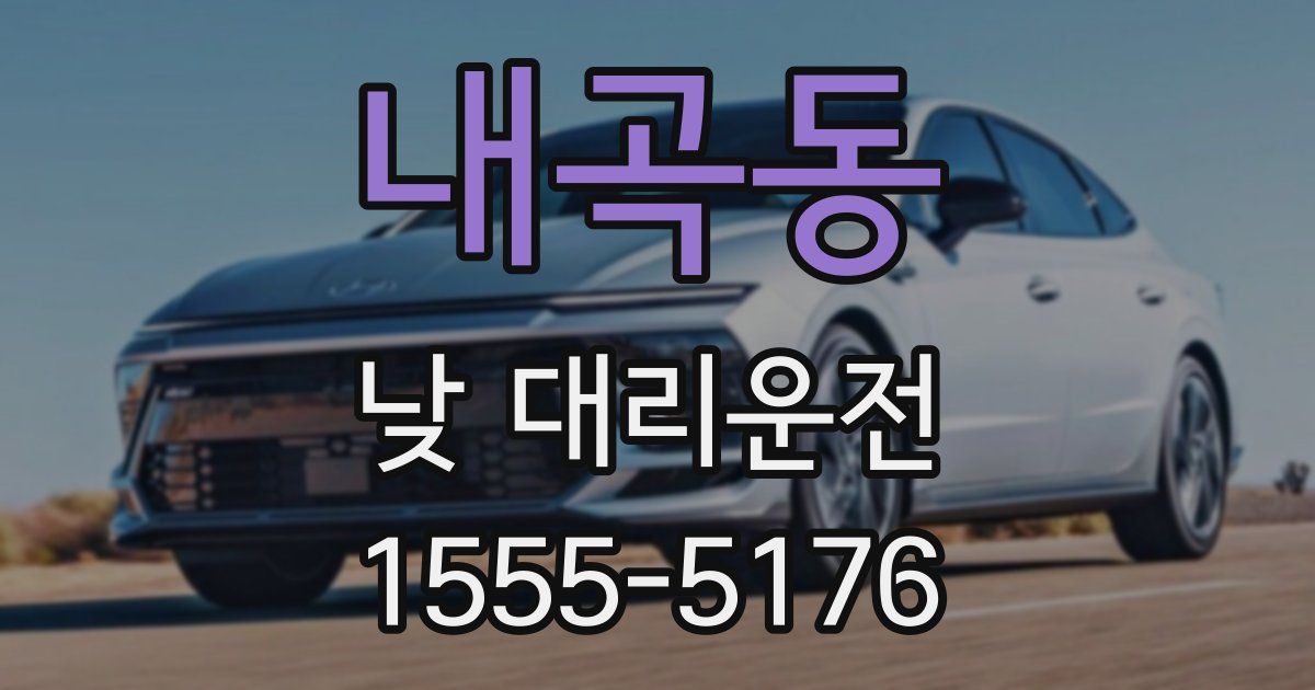 내곡동 낮 대리운전